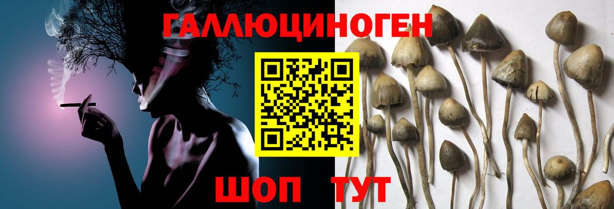 Псилоцибиновые грибы мухоморы  Вход с VPN  Москва 