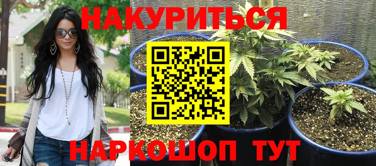 Москва  Конопля тримм  Бошки Шишки конопля  Бошки Шишки тримм  Вход с VPN  Канабис тримм 